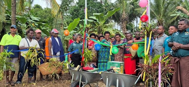 Disease-Free Coconut Nurseries In Papua New Guinea To Support White Copra Revival And Rural Livelihoods
