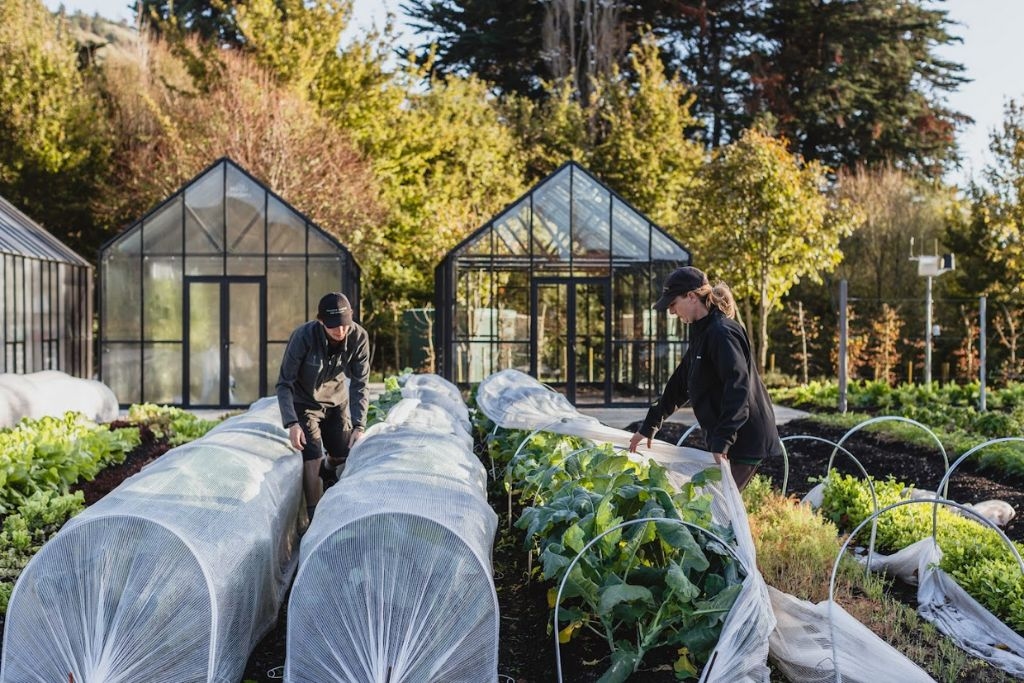 Craggy Range Awarded Three Hats, Chef Of The Year & Winery Restaurant Of The Year