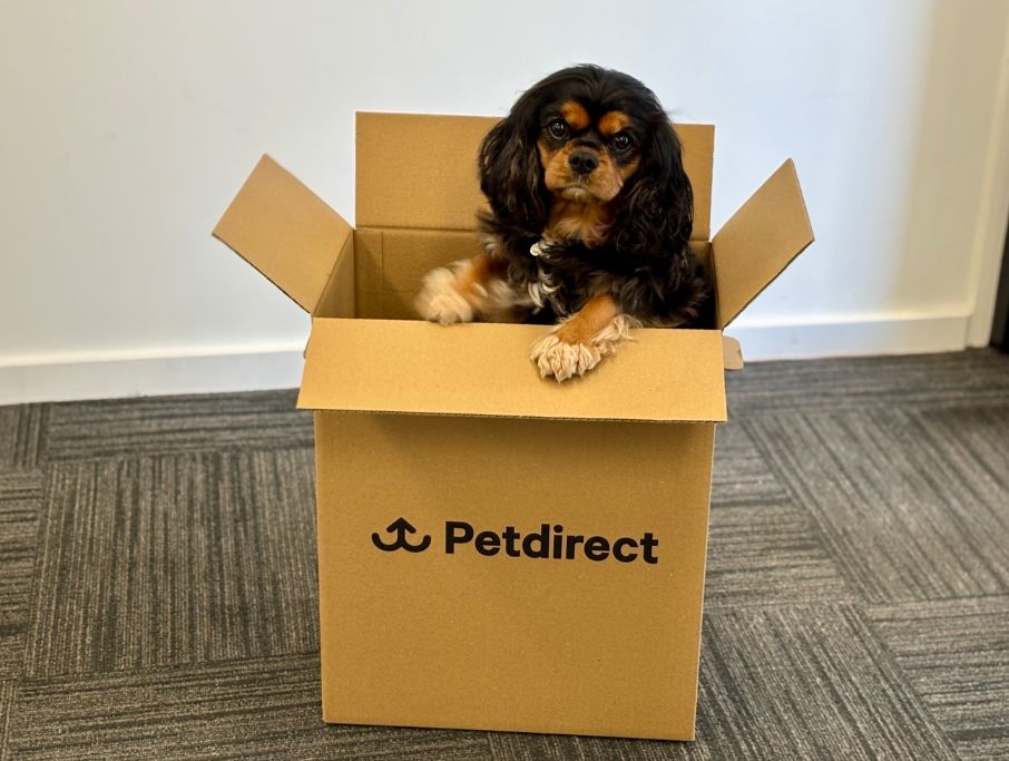 Petdirect Wins Loyalty With Local Service Kiwis Trust
