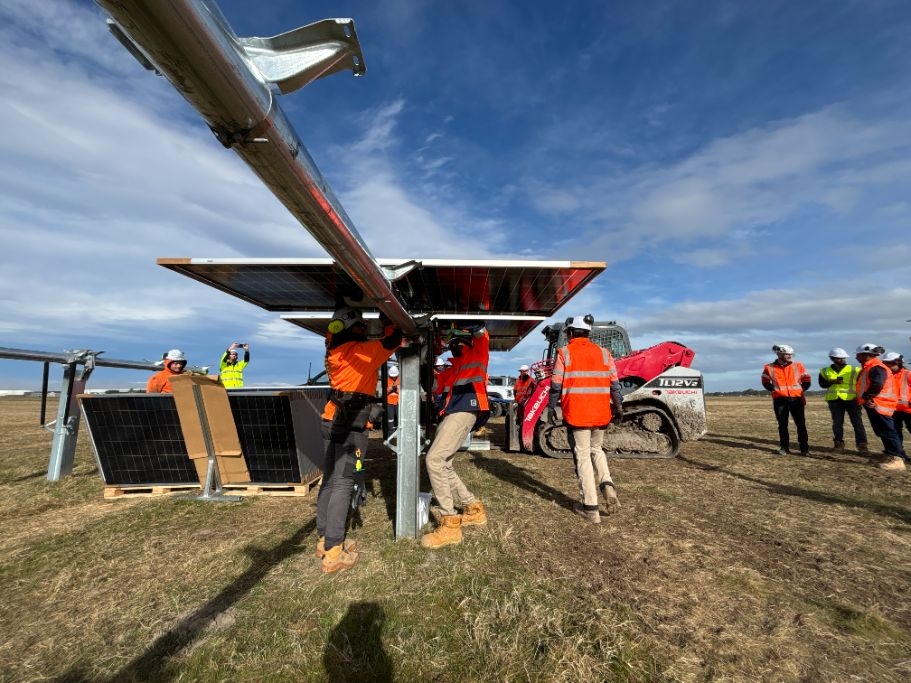 Kōwhai Park Solar Farm Reaches ‘Golden Row' Milestone, Marking Major Step In Delivery