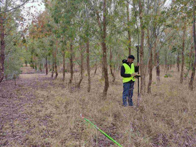 Eyes In The Sky: Using Drones To Safeguard Our Forests