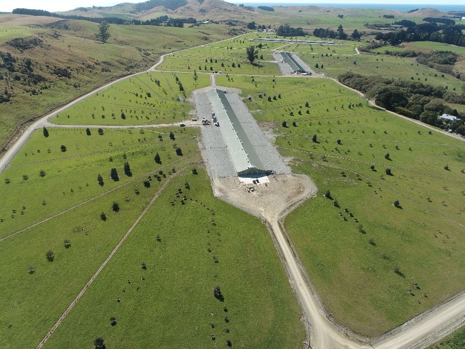 Controls Lifted At Poultry Farm After Virus Eradicated