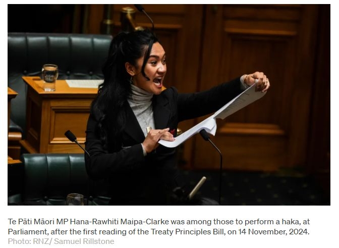 ‘Me tū, me haka!': Te Pāti Māori MPs defend haka in Privileges Committee written submissions