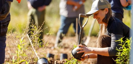Hamilton Gears Up For A Busy Planting Season