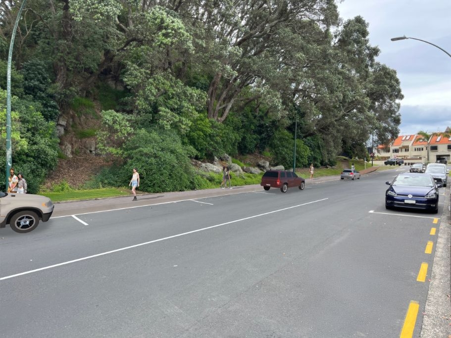 Making Hopukiore Safer And More Accessible For All