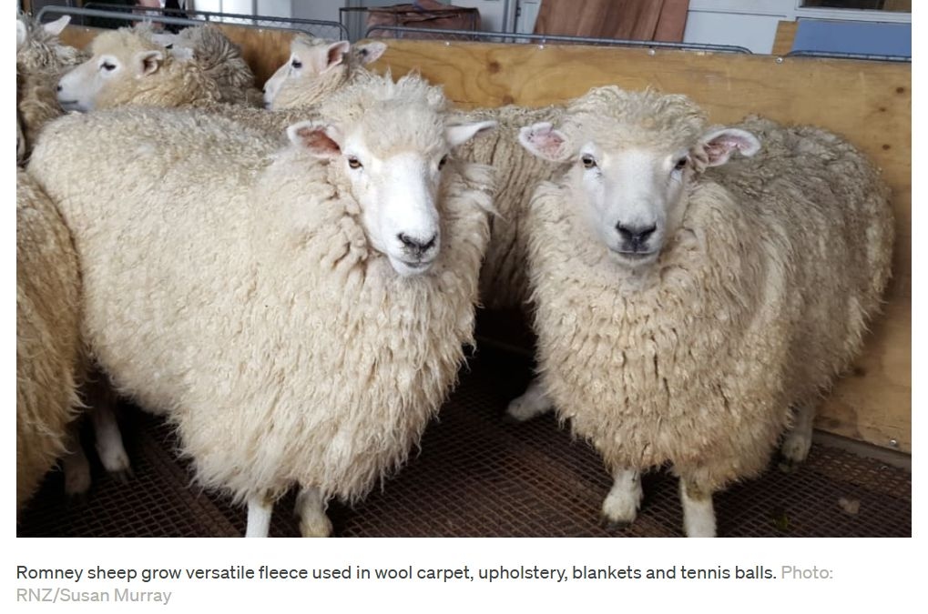 Wool In Tennis Balls From Hill Country Farms Will Be Served Up At The US Open