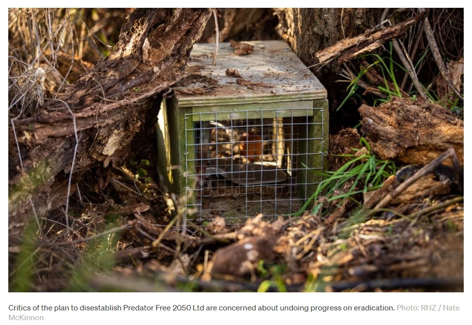 A Bold Dream Gets A Cut As Predator Free 2050 Ltd Is Disestablished