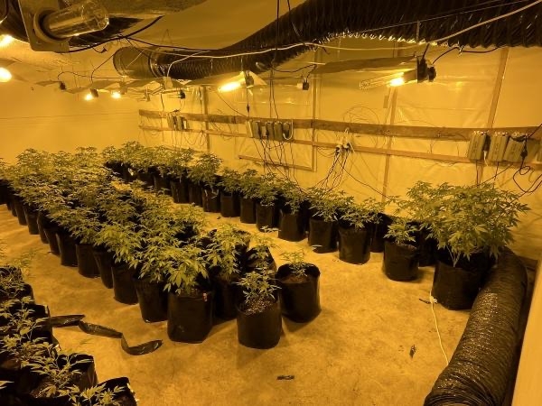 Police Shut Down Drug Operations Across Kumeū