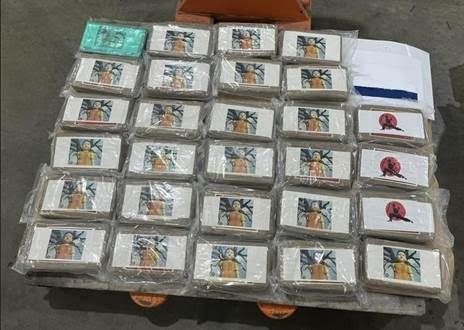 Customs Seizes 157 Kilograms Of Cocaine In Tauranga