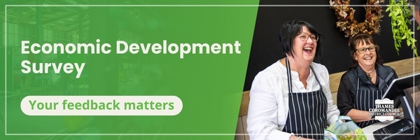 Economic Development Survey For Local Businesses