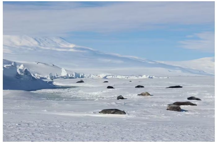 We travelled to Antarctica to see if a Māori lunar calendar might help track environmental change