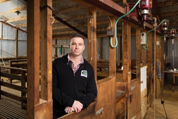 Strong Wool – Where To Next?