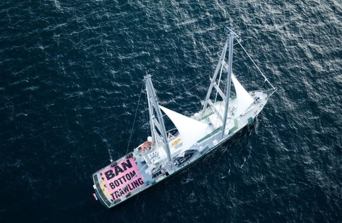 Alliance Renews Call For Bottom Trawling Ban In Hauraki Gulf