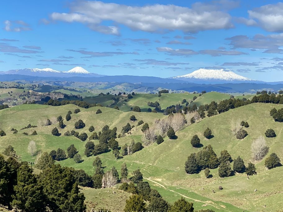 Council Steps Up Climate Action With Toitū Carbon Reduce Certification Programme