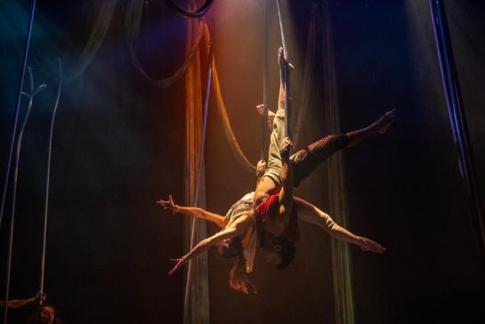 Tauranga First To Hear The Call Of The Tūī: Te Tangi A Te Tūī Tickets On Sale Now