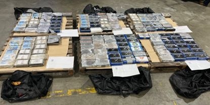 Customs Seizes 150 Kilograms Of Cocaine In Tauranga