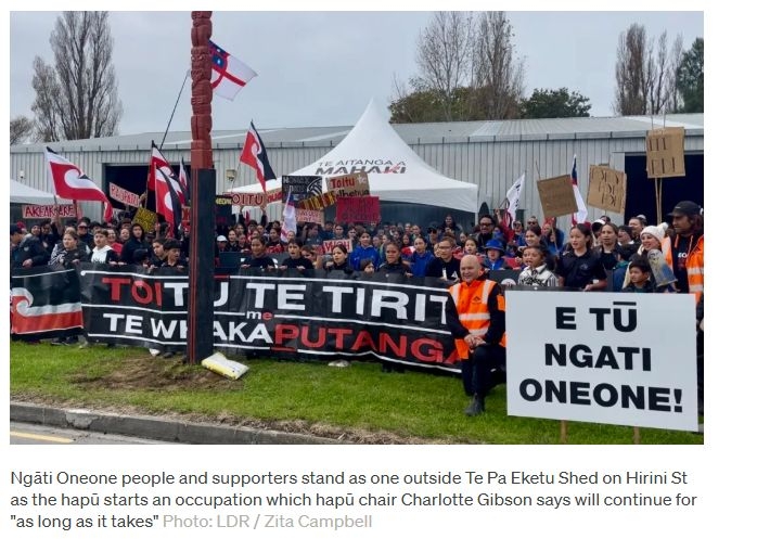 Ngāti Oneone calls for unused land return in Gisborne protest