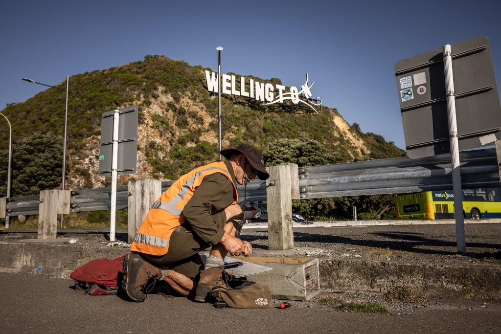 Wellington City Council And Predator Free Wellington Win Supreme Award At Local Government Excellence Awards