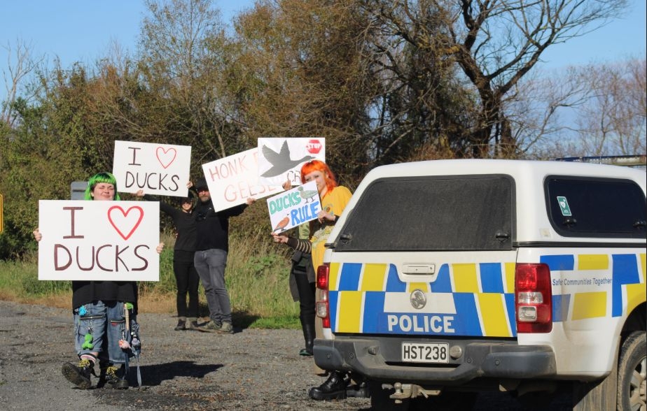 Exposing The Deception: Consumption, Conservation Or Carnage At Te Waihora?