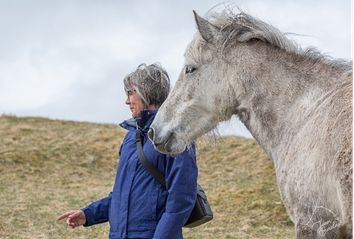Discovering The True Nature Of Horses