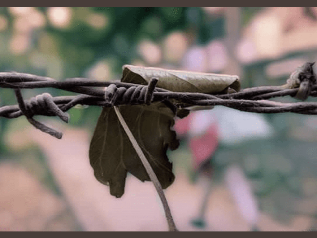 Caught Between Borders and Broken Promises, Pakistani Woman's Journey Through J&K's Militant Rehab Policy