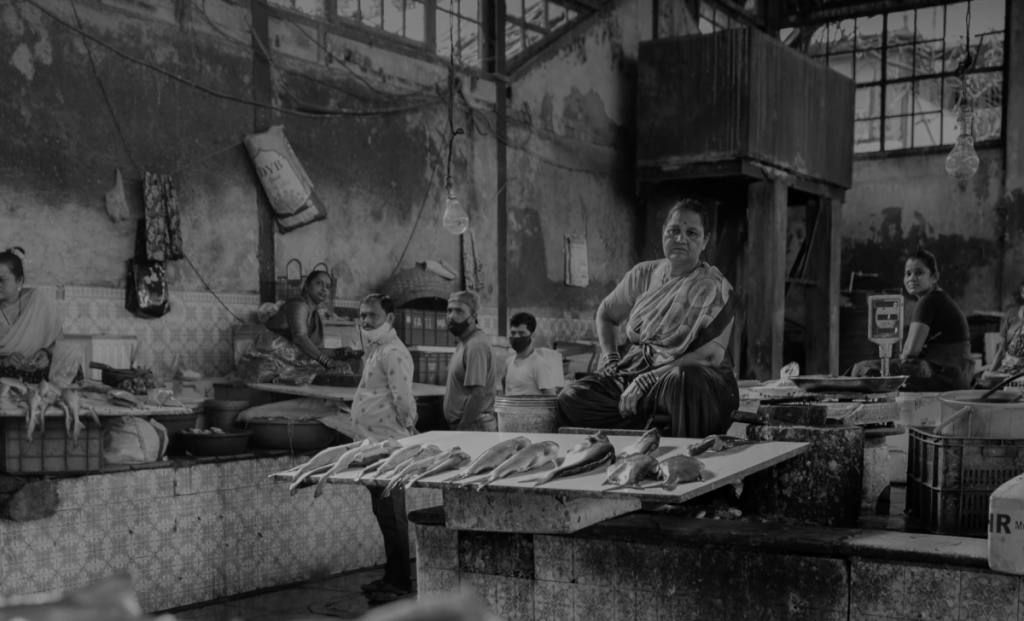 The Wire's Series on Indian Fisherwomen Wins 2024 ACJ Award for Social Impact Journalism