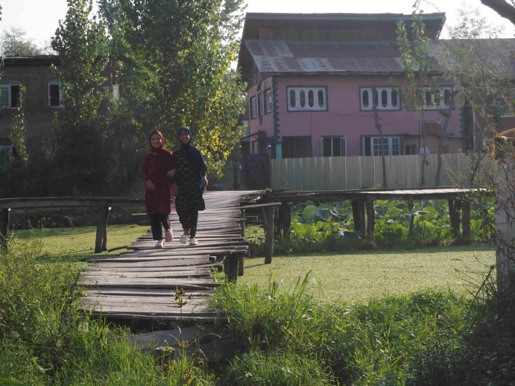 In Photos: A Weary Lake in Srinagar