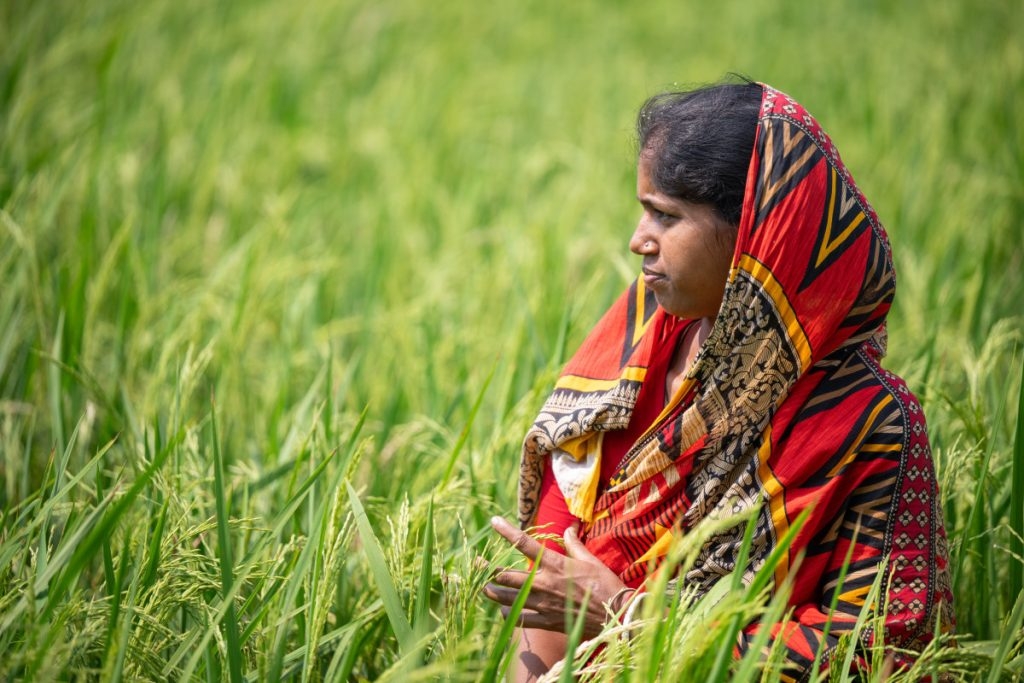 How Women Farmers in the Sundarban Are Reviving Indigenous Rice Varieties