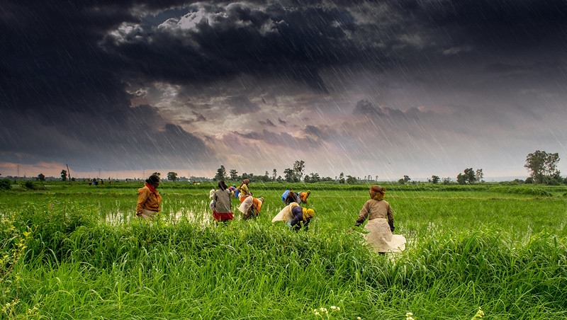 All India Kisan Sabha Accuses Union Govt of ‘Betrayal', Says New MSPs Exaggerated, Fall Short of Promise