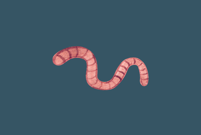Worm-Inspired Treatments Inch Toward the Clinic