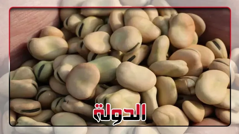 تابع أسعار الفول والعدس والزيت والأرز في الاسواق المصرية اليوم