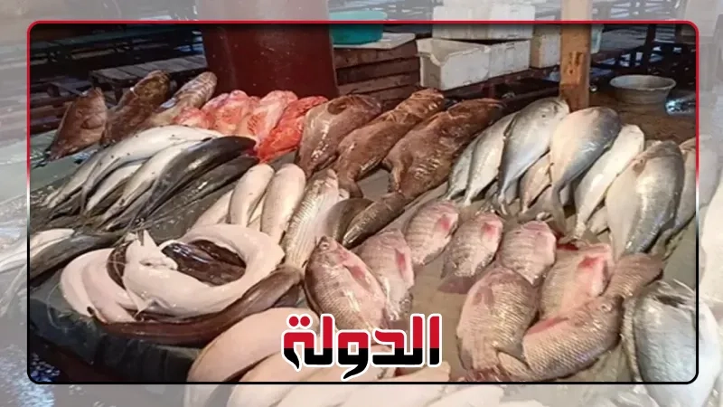 تابع أسعار الجمبري والسبيط في الأسواق المصرية اليوم 23 يونيو