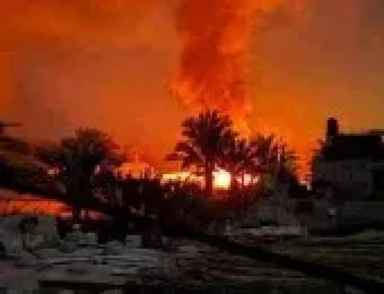 أزمة غذاء في إسرائيل وتدهور الزراعة بسبب حرب غزة