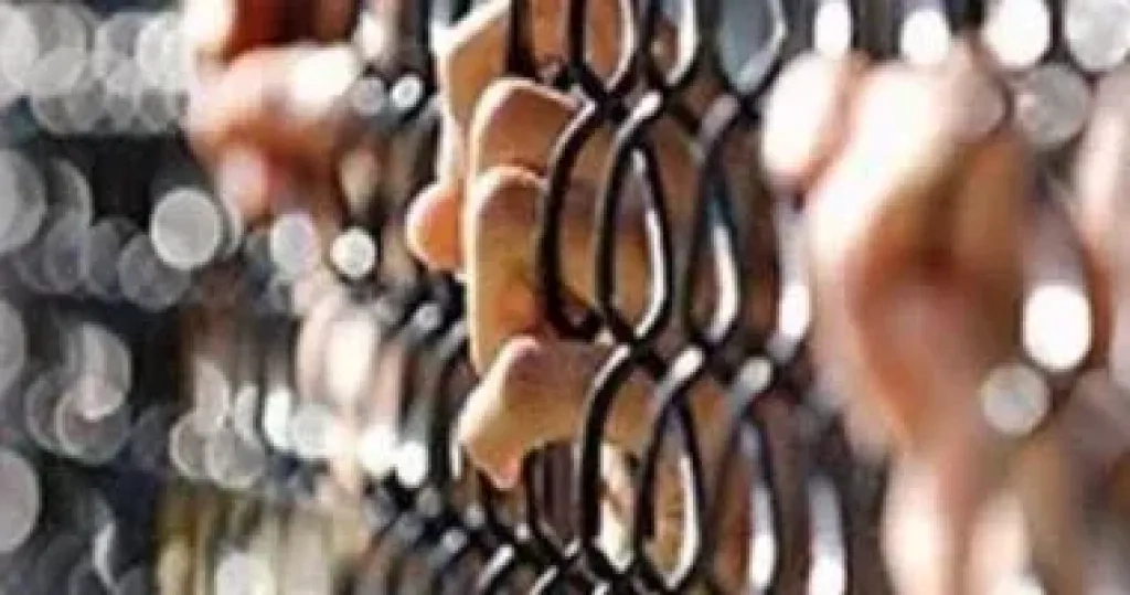 المشدد 15 سنة لـ4 متهمين استعرضوا القوة بالأسلحة ضد صاحب مصنع بشبرا الخيمة