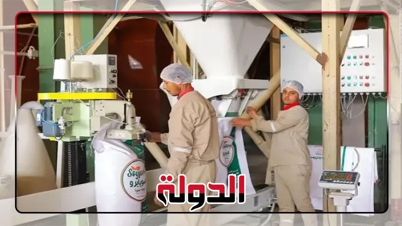 كايرو ثري إيه أول شركة مصرية تصدر الصويا عالية الطاقة إلى دول الخليج