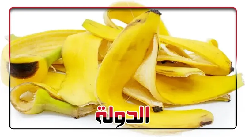 دراسة جديدة تكشف أهمية قشر الموز في الطعام وأثره على الصحة