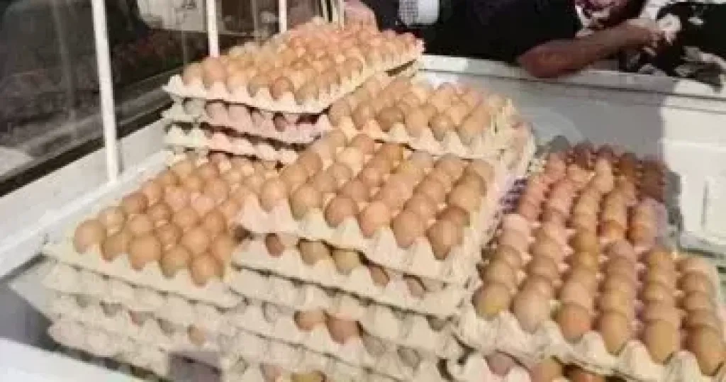 كل ماتريد معرفته عن سعر طبق البيض اليوم الأربعاء 21 مايو
