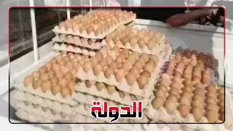 سعر طبق البيض في الأسواق المصرية اليوم 20 يونيو 2025