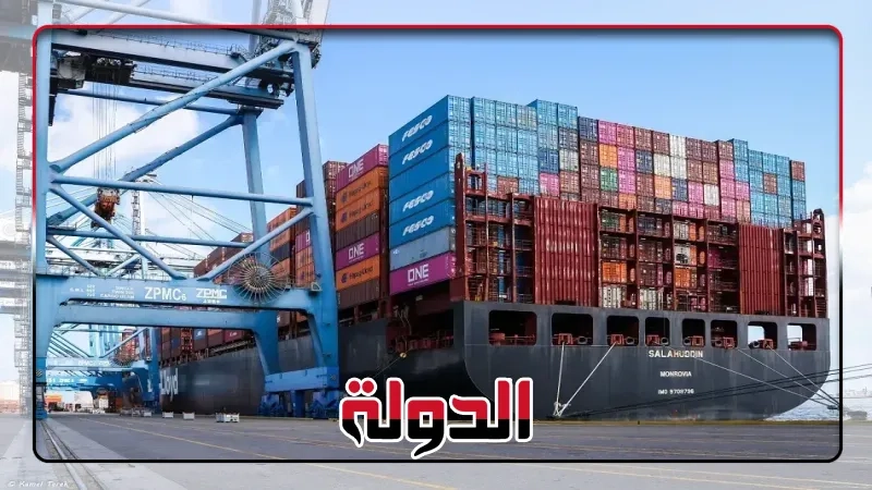 ميناء دمياط يستقبل 9 سفن ويُفرغ شحنة من العجول