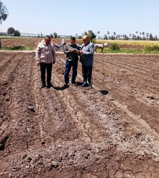 فريق مكافحة الآفات بزراعة البحيرة تكثف جهودها استعدادا لزراعة المحاصيل الصيفية