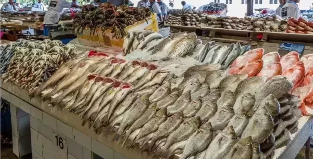 أسعار الأسماك اليوم السبت 24 مايو في سوق العبور للجملة