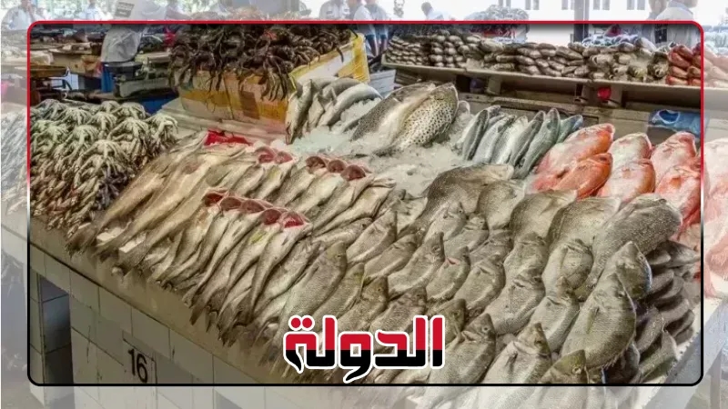 سعر سمك البلطي في مصر اليوم