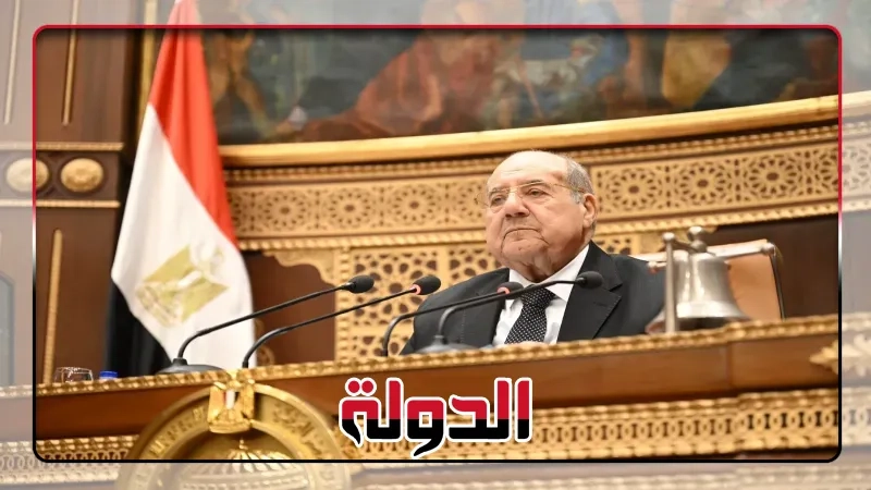 راجية الفقي تطالب بتمكين شركات الأمن السيبراني الناشئة خلال جلسة الشيوخ بحضور وزير الاتصالات