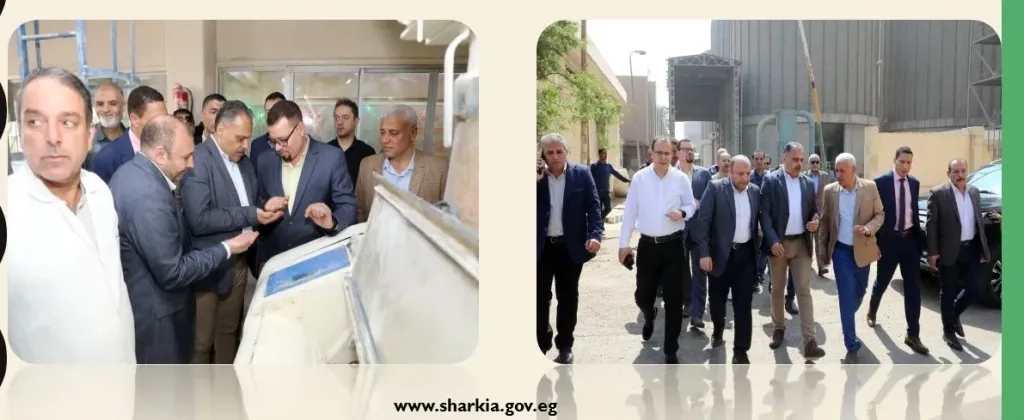محافظ الشرقية يتفقد صوامع الغلال المعدنية ومطحن عرابي بالزقازيق