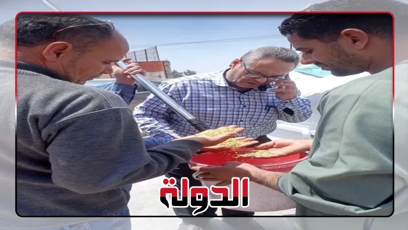 المواقع التخزينيةتستقبل ٢٥٩٥٥9طن من القمح بمحافظة الشرقية