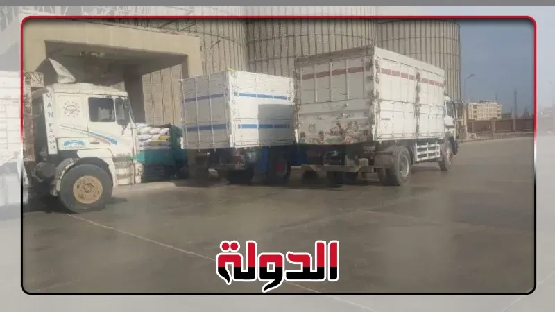 توريد ٤٦٥٥٢١طن اقماح لشون الشرقية