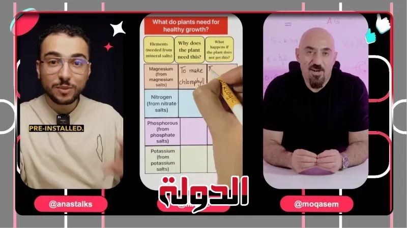 تيك توك تطلق موجز STEM في مصر لدعم المبتكرين