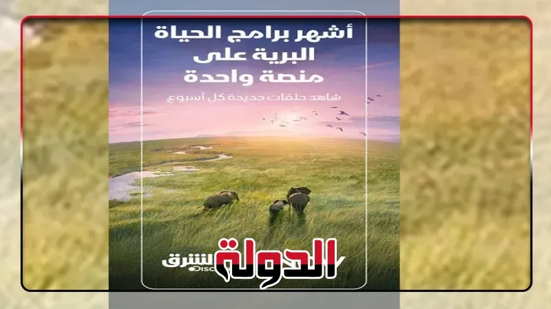 'الشرق ديسكفري' تقدم أشهر وأضخم برامج الحياة البرية