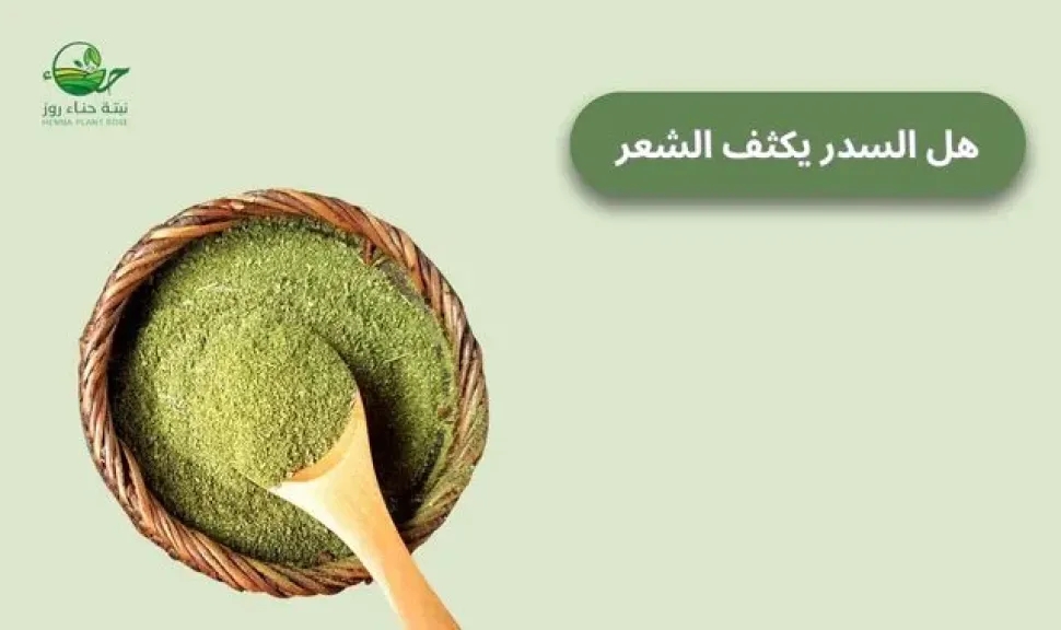 هل السدر يكثف الشعر؟ تعرف على فوائده وطريقة استخدامه الصحيحة
