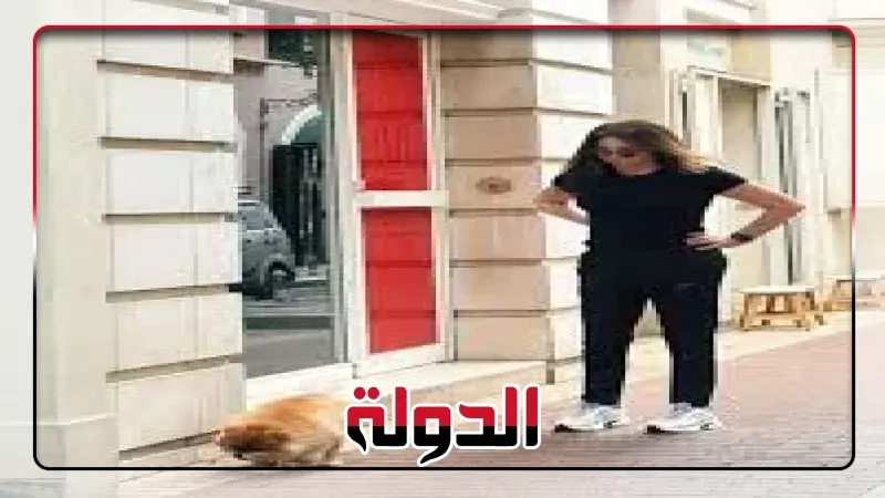 بعد حملة التنمر عليها، إليسا تنشر صورا جديدة لها من شوارع بيروت